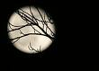SONETO DE LUNA DORMIDA